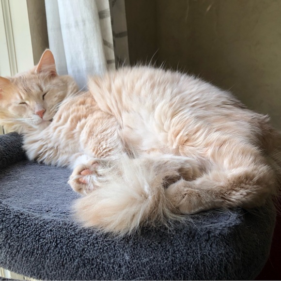 Meet your Posher, Kim - Picture 13 of 15